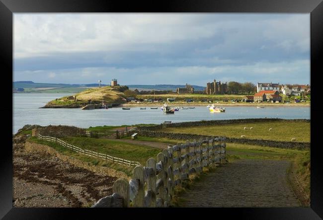 Holy island harbour from Lindisfarne castle Framed Print by David Thompson