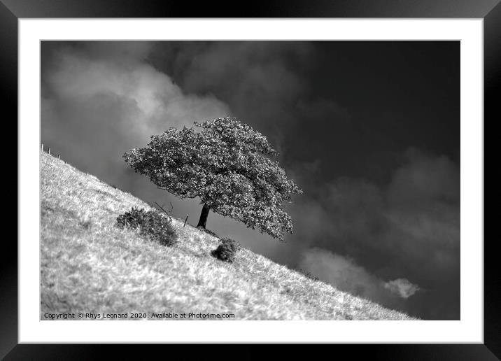 lone tree on the side of a hill Framed Mounted Print by Rhys Leonard