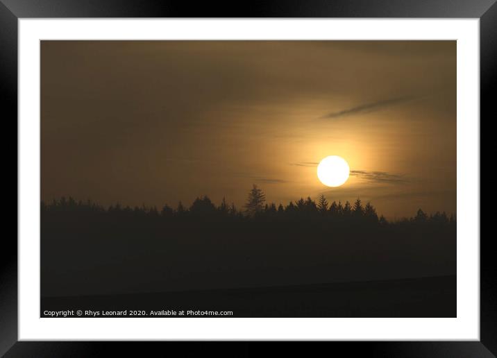 Hazy warm golden sunset silhouettes a line of coniferous trees Framed Mounted Print by Rhys Leonard