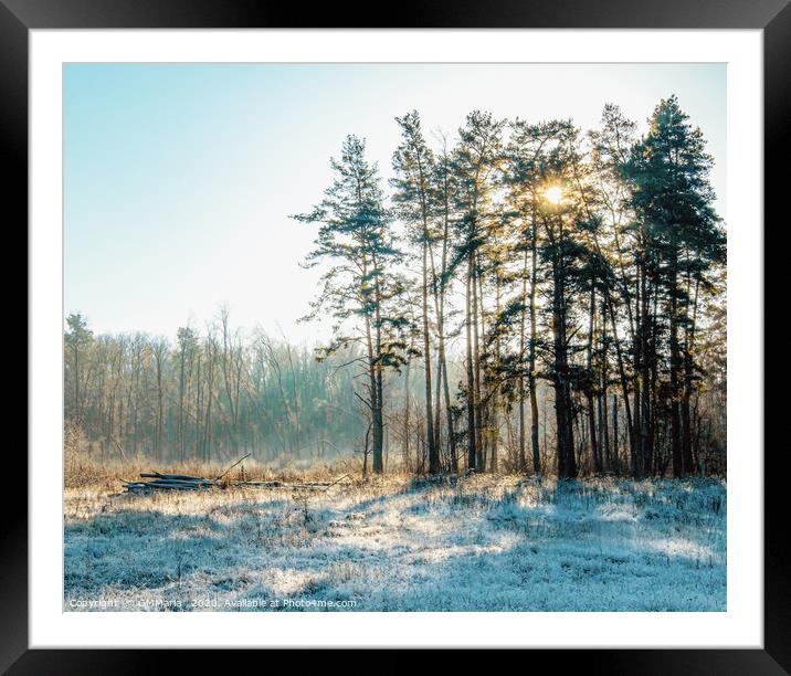 frost onset Framed Mounted Print by Maria Galushkina