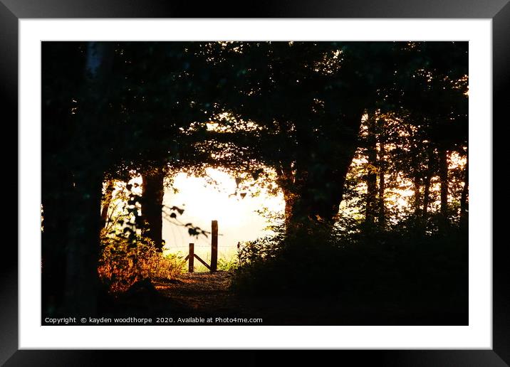               Pods Wood Morning                  Framed Mounted Print by kayden woodthorpe