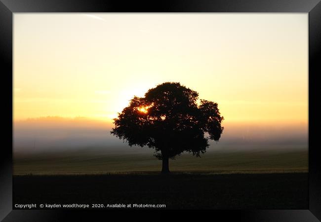         Messing Tree in the Morning Mist           Framed Print by kayden woodthorpe