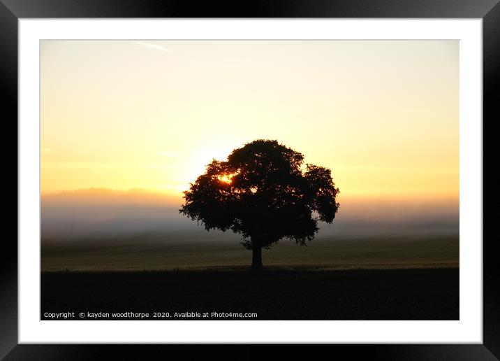         Messing Tree in the Morning Mist           Framed Mounted Print by kayden woodthorpe