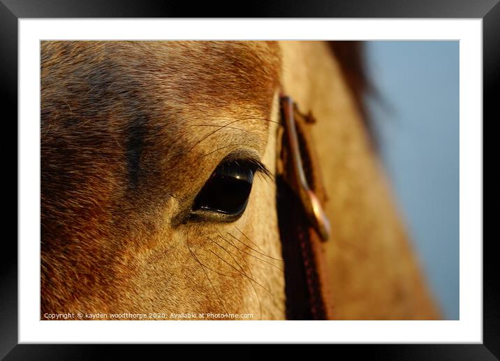 Sunrise in the eye of a horse  Framed Mounted Print by kayden woodthorpe