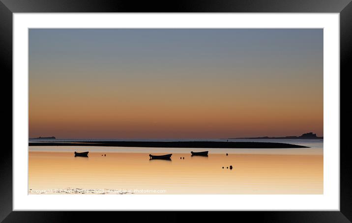 Golden Sunrise on the Northumberland Coast Framed Mounted Print by David Thomas
