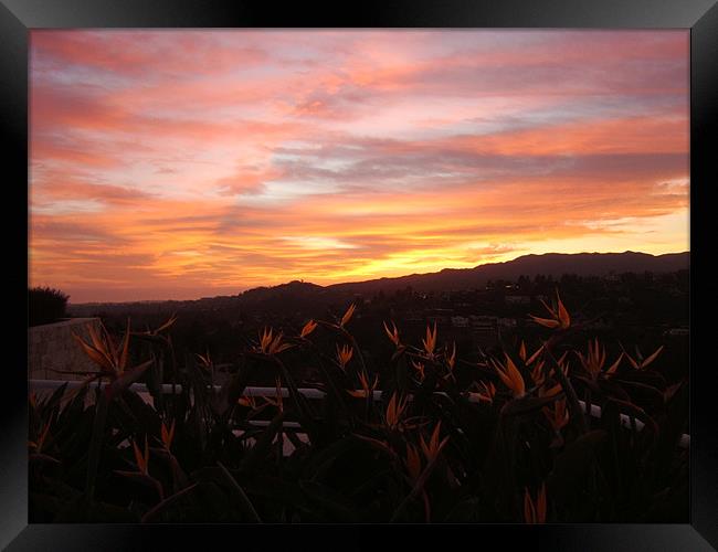 Californian Sunset  Framed Print by Tim Duck