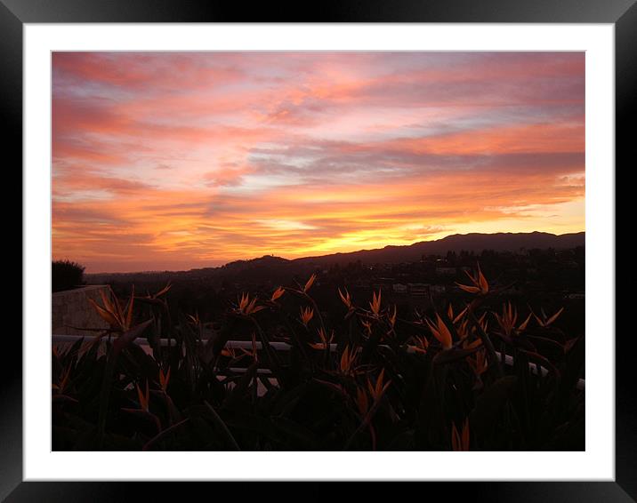 Californian Sunset  Framed Mounted Print by Tim Duck