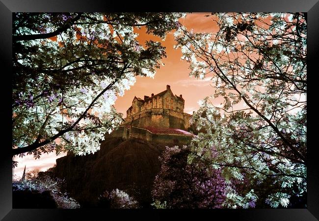 Edinburgh Castle through the trees Framed Print by Philip Hawkins