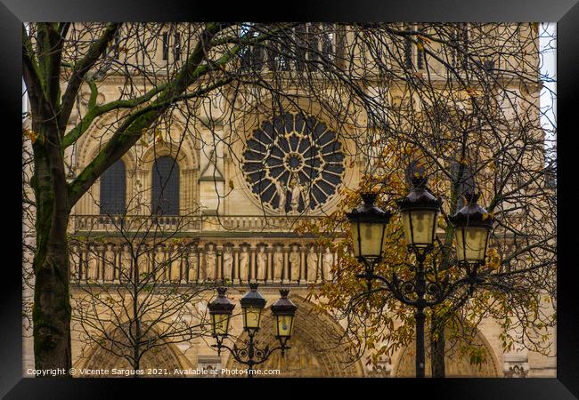 Notre Dame Cathedral among branches Framed Print by Vicente Sargues