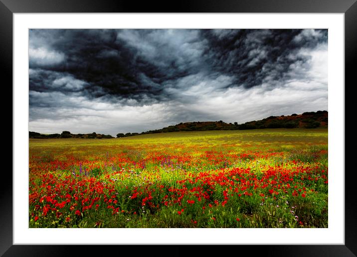 Colorful fields 1 Framed Mounted Print by Vicente Sargues