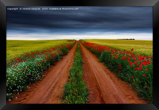 Path between flowers and fields Framed Print by Vicente Sargues