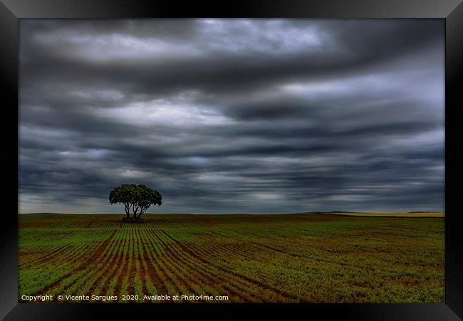 Field and storm Framed Print by Vicente Sargues