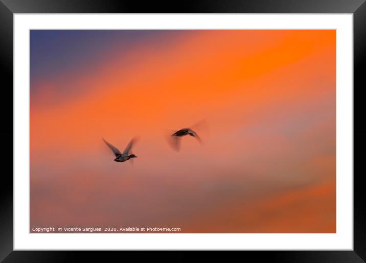 Flying ducks Framed Mounted Print by Vicente Sargues