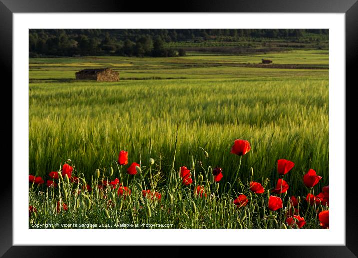 Poppies and fields with shepherd house Framed Mounted Print by Vicente Sargues