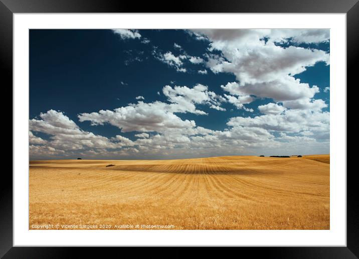 Cereal fields with cloud shadows Framed Mounted Print by Vicente Sargues