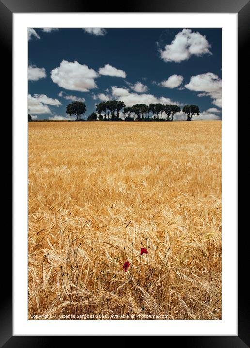 Cereal field with poppies Framed Mounted Print by Vicente Sargues