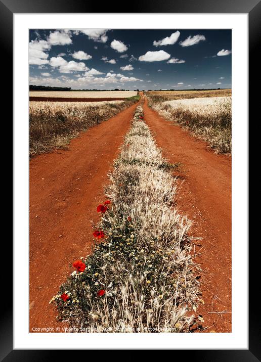 Path between cereal fields Framed Mounted Print by Vicente Sargues