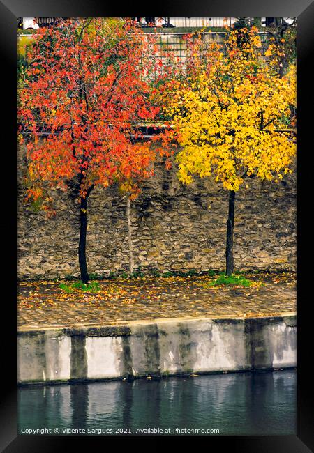 Autumn colors on trees Framed Print by Vicente Sargues