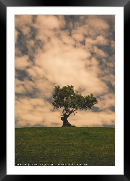 Olive tree and clouds Framed Mounted Print by Vicente Sargues