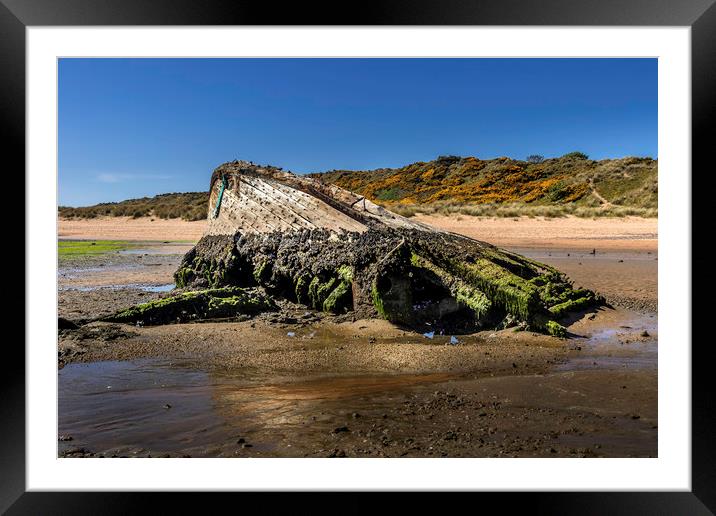 The Haunting Remains Framed Mounted Print by Don Nealon