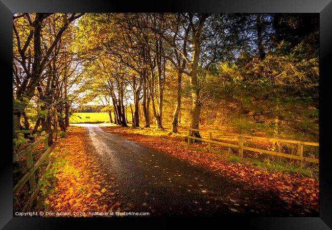 Tree lined road in autumn Framed Print by Don Nealon