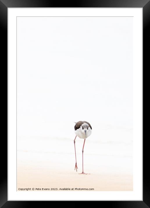 Abstract nonphotoBlack winged Stilt Framed Mounted Print by Pete Evans