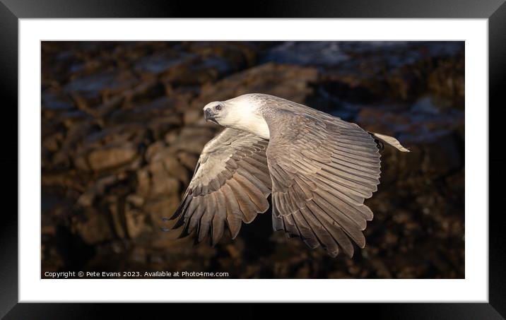 Into the Light Framed Mounted Print by Pete Evans