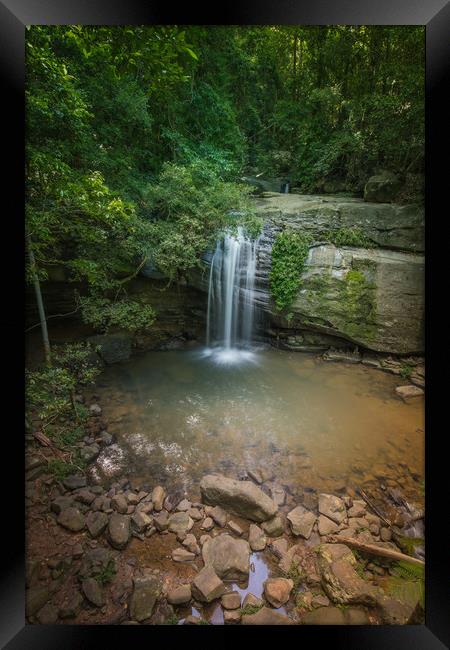 Buderim Falls Framed Print by Pete Evans