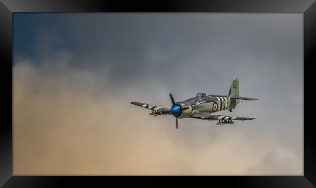 Sea Fury Warplane  Framed Print by Pete Evans