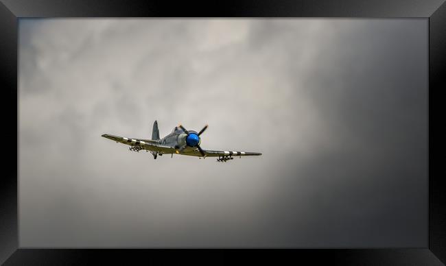 The Hawker Sea Fury Framed Print by Pete Evans