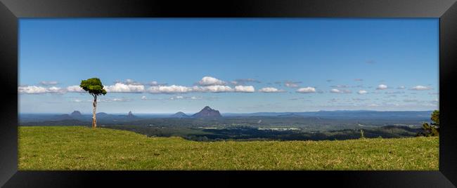 One Tree Hill at Glasshouse Framed Print by Pete Evans