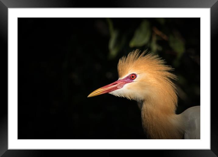 A Beautiful Redhead Framed Mounted Print by Pete Evans