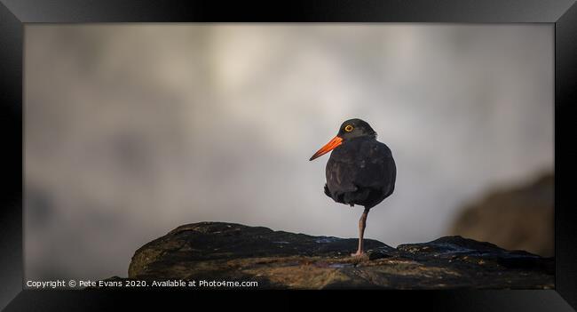 Others  Framed Print by Pete Evans