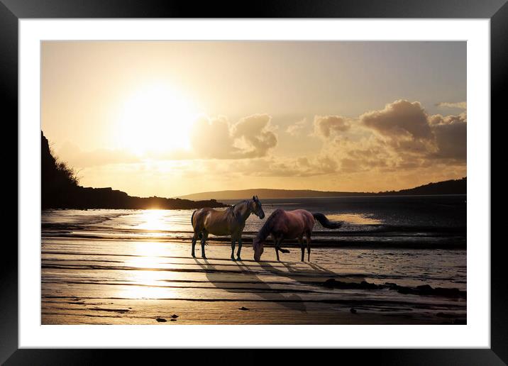 Running Free Framed Mounted Print by Judith Oatley