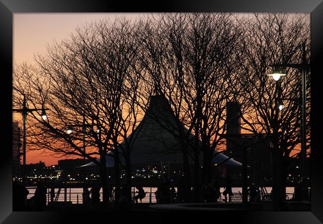 NYC pier sunset through the trees Framed Print by Yulia Vinnitsky