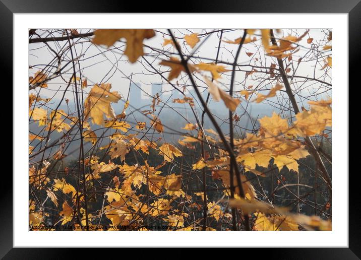 Autumn view 2 Framed Mounted Print by Yulia Vinnitsky