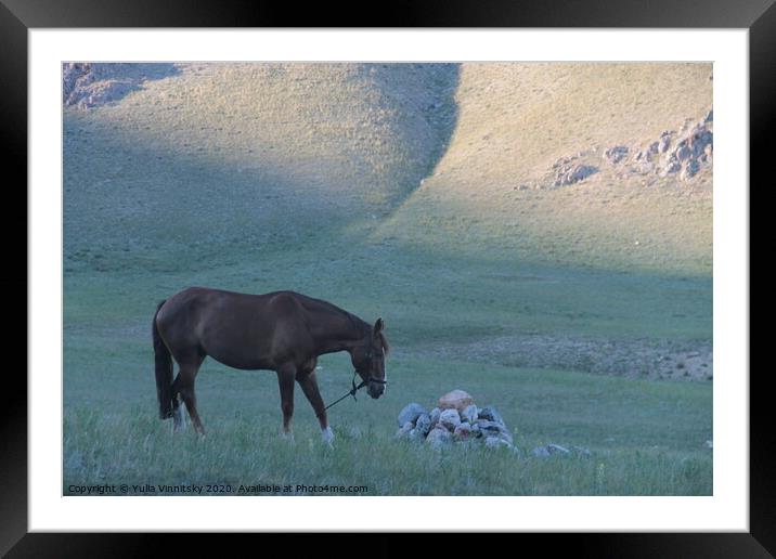 A horse in the evening Framed Mounted Print by Yulia Vinnitsky