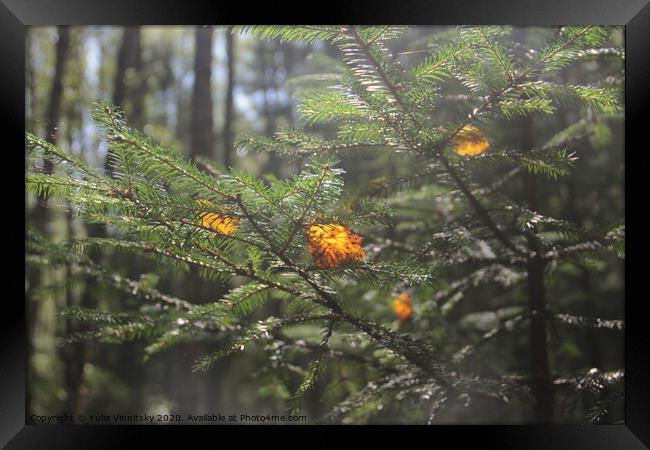 Caught in a furtree Framed Print by Yulia Vinnitsky