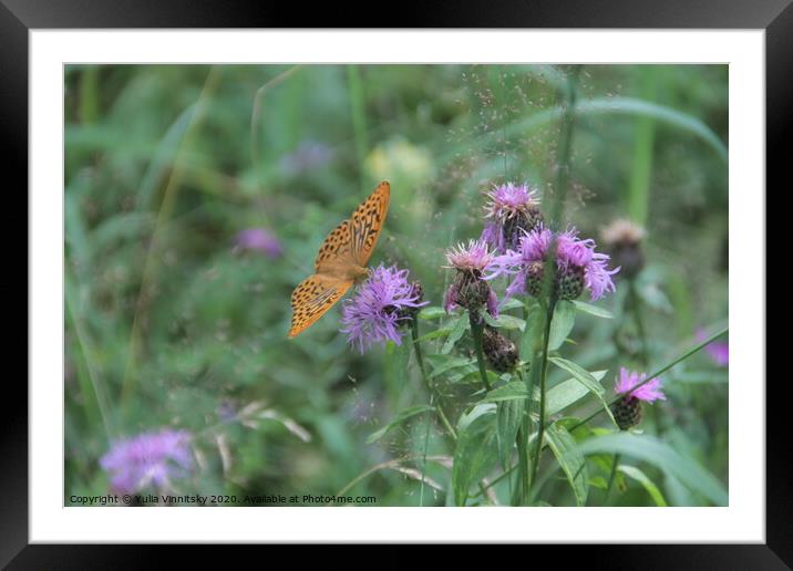 A flower and a butterfly Framed Mounted Print by Yulia Vinnitsky