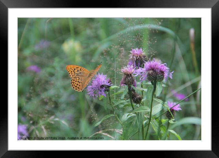 A flower and a butterfly Framed Mounted Print by Yulia Vinnitsky