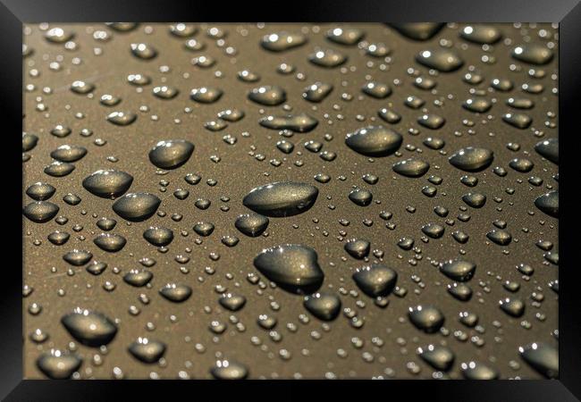 Rain drops at reflective surface, selective focus Framed Print by Arpad Radoczy