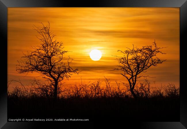 Beautiful sunset landscape with bushes Framed Print by Arpad Radoczy