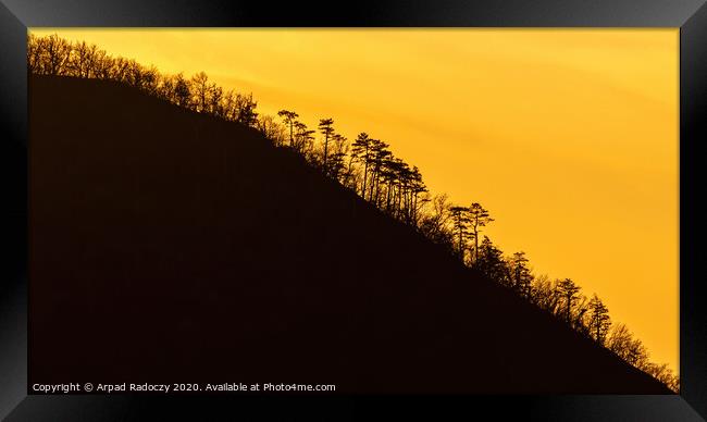Curved mountain silhouette with tree in a sunset l Framed Print by Arpad Radoczy
