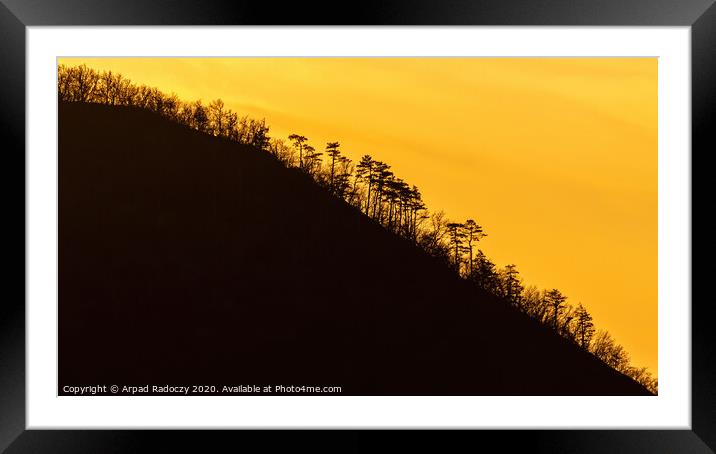 Curved mountain silhouette with tree in a sunset l Framed Mounted Print by Arpad Radoczy
