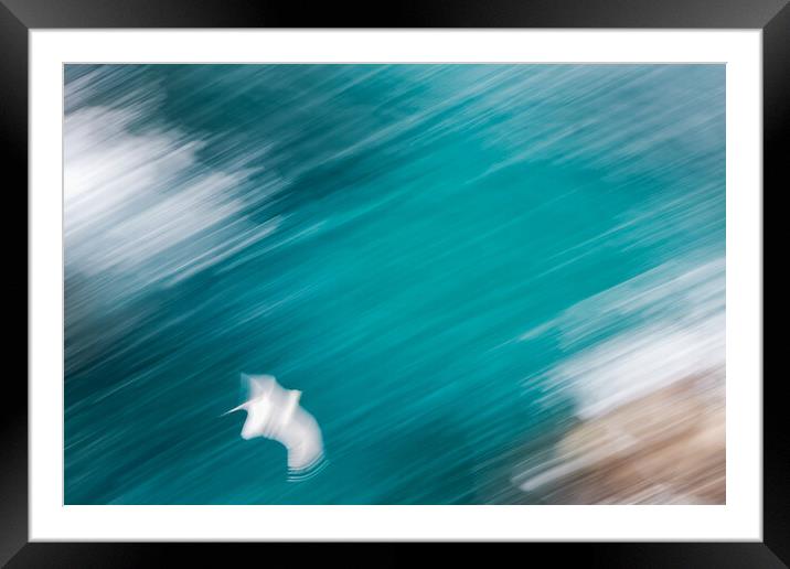 Abstract picture from a seagull bird flying over the water Framed Mounted Print by Arpad Radoczy