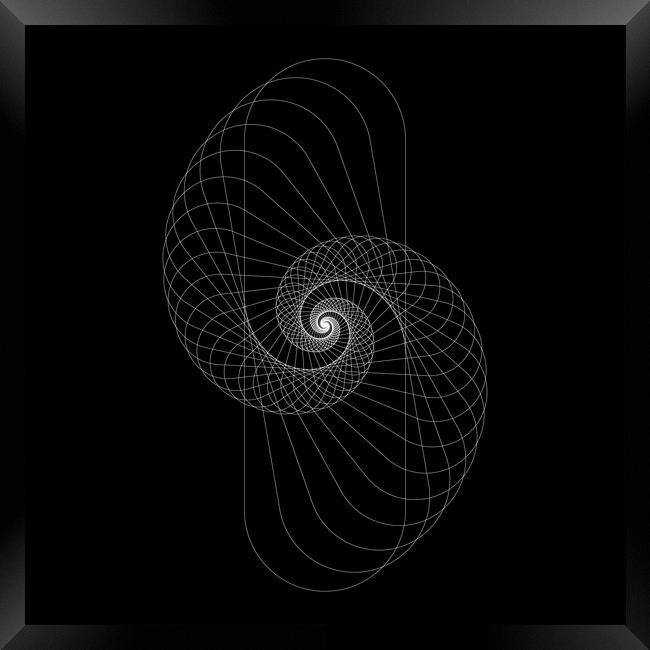 Snail shape white vector image on black background. Framed Print by Arpad Radoczy
