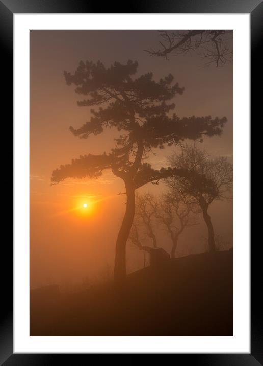 Beautiful sunset light in a foggy day Framed Mounted Print by Arpad Radoczy