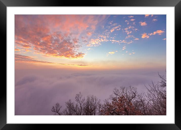 Fluffy clouds over the forest Framed Mounted Print by Arpad Radoczy