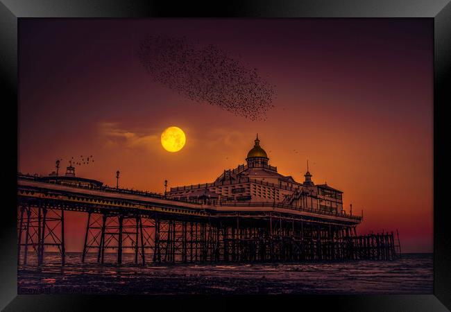 Starlings flying over Eastbourne Pier Framed Print by Jadwiga Piasecka