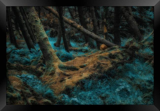 Magical Forest - Isle of Skye Framed Print by Jadwiga Piasecka